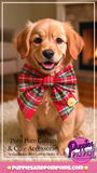 Christmas Tartan Sailer Bow