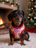 Christmas Dachshunds Harness