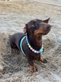 Handmade Pastel Bead & Biothane Dog Harness - Vegan Leather / Waterproof Biothane