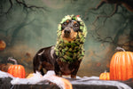 Dinosaur Snood / Buff / Hat