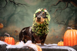 Dinosaur Snood / Buff / Hat