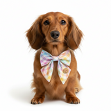 Pastel checkered bow with heart patterns on a white background