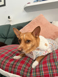Spring Dachshunds Fluffy Handmade Reversible Coat