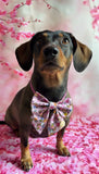 Handmade Sailer Bow- Bee Happy Dachshunds Pink
