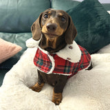 Handmade Christmas Tartan & Sherpa  Dachshund Coat