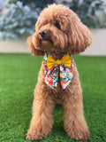 Pajarita marinera para perro hecha a mano - Doble lazo - Pequeña "Fiesta en el jardín"