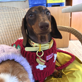 Handmade Crochet Dachshund Coat / Jumper - Christmas