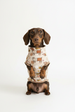 Premium Organic Handmade Teckel Sweater “Bee Happy Dachshunds” - Beige (Brown Cuffs)