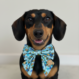 “Bee Happy Dachshunds” Blue Handmade Sailer Bow