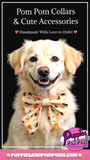 Handmade Dog Sailer Bow Tie - Halloween