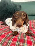 Spring Dachshunds Fluffy Handmade Reversible Coat