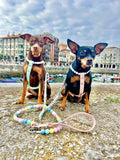 Handmade Pastel Bead & Biothane Dog Harness - Vegan Leather / Waterproof Biothane