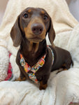 Handmade H Dog Harness - Garden Party