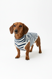 The “Cornish Harbour Stripes” Organic Cotton Dachshund Sweatshirt