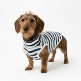 The “Cornish Harbour Stripes” Organic Cotton Dachshund Sweatshirt