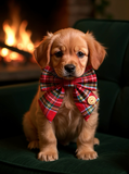 Christmas Tartan Sailer Bow