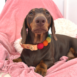 Rainbow Pom Pom Collar - Adjustable