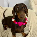 Valentine - Pom Pom Dog Collar