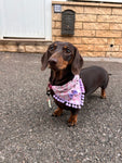 Cute Pink Ghosts! Halloween Pompom Dog Bandana