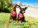 Pañuelo de ganchillo para perro - Rosa fucsia