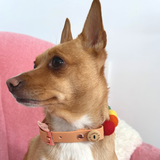 Handmade Rainbow Pom Pom Collar - Adjustable - Vegan Leather / Biothane
