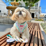 Harness - Ditsy Sprinkles