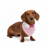 The Petit Teckel Colette Bandana – Pink Vichy