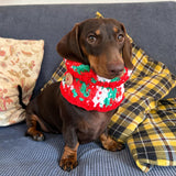 Red White & Green Crochet Dog Snood / Buff