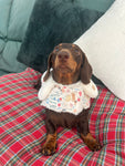Spring Dachshunds Fluffy Handmade Reversible Coat