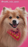 Pañuelo de ganchillo para perro - Rosa fucsia