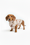 Premium Organic Handmade Teckel Sweatshirt “Bee Happy Dachshunds” Beige