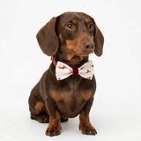 Handmade Christmas Dachshund Bow Tie – Santa Hats
