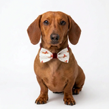 Handmade Christmas Dachshund Bow Tie – Santa Hats