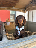 Handmade H Dog Harness - Mermaids