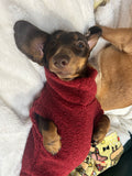 Handmade Dachshund Sweater - “Dark Red Teddy”