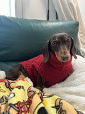 Handmade Dachshund Sweater - “Dark Red Teddy”