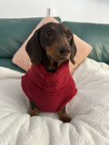 Handmade Dachshund Sweater - “Dark Red Teddy”