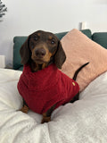 Handmade Dachshund Sweater - “Dark Red Teddy”