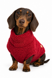 Handmade Dachshund Sweater - “Dark Red Teddy”