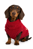 Handmade Dachshund Sweater - “Dark Red Teddy”