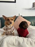 Handmade Dachshund Sweater - “Dark Red Teddy”
