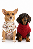 Handmade Dachshund Sweater - “Dark Red Teddy”