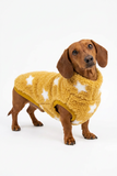 Handmade Dachshund Sweater - Sherpa Stars Golden