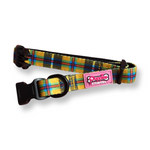 Collar - Cornish Tartan