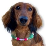 Watermelon  Personalised Pom Pom Dog Collar