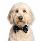 Corbata de moño para perro de Halloween para la celebración del otoño