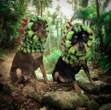 Dinosaur Snood / Buff / Hat