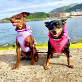 Pink Luxe Corduroy Harness