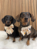 Handmade Dog Sailer Bow Tie - Autumn Dachshunds