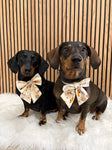 Handmade Dog Sailer Bow Tie - Autumn Dachshunds